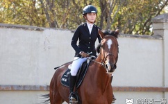 李孝利高清图片